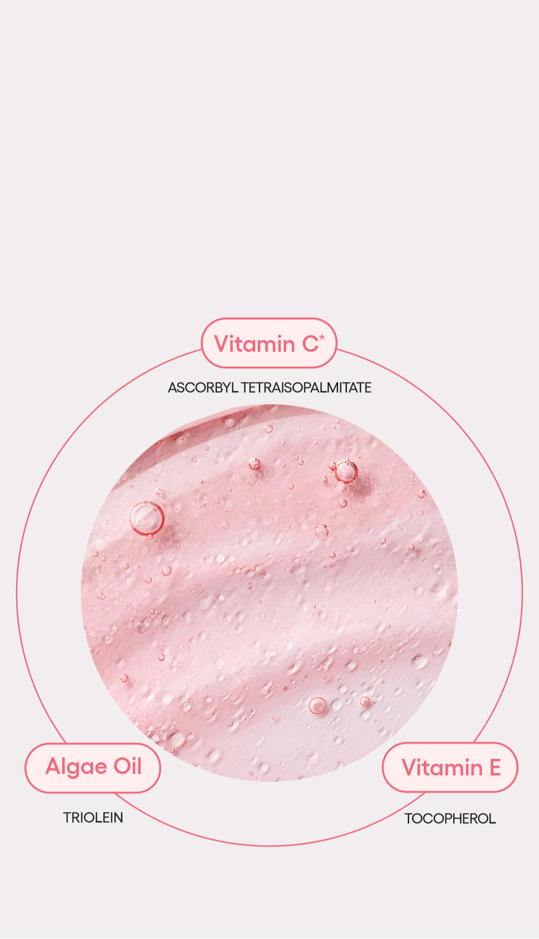 LANEIGE,Indonesia,<p></p>