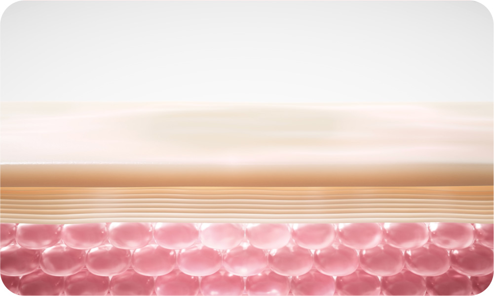 LANEIGE,Indonesia,<p><sub>Diformulasikan dengan Kolagen &amp; Peptida Air membantu kulit tampak lebih kencang.</sub></p>