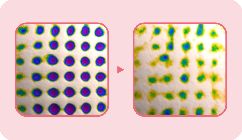 LANEIGE,Indonesia,<p></p>