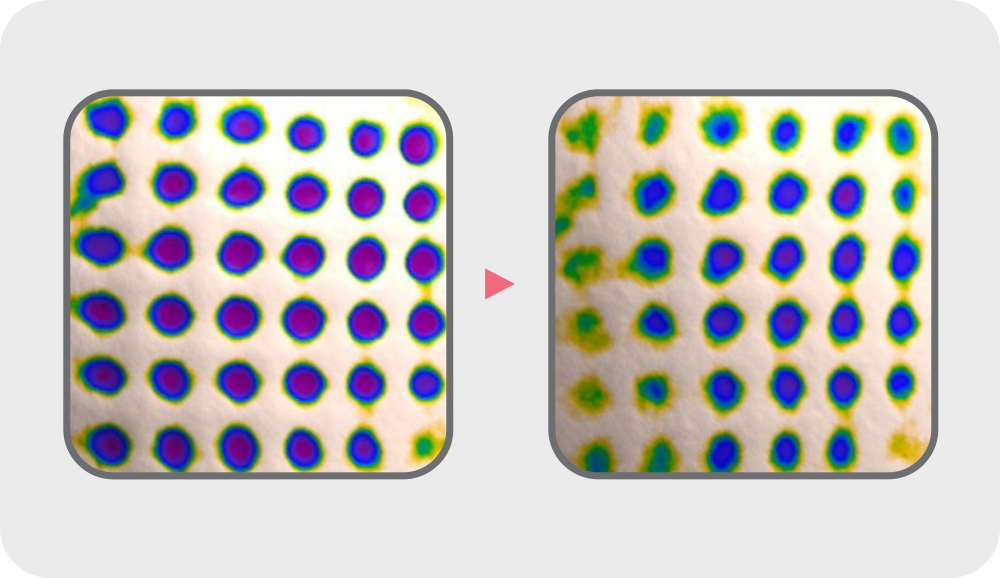 LANEIGE,Indonesia,<p></p>