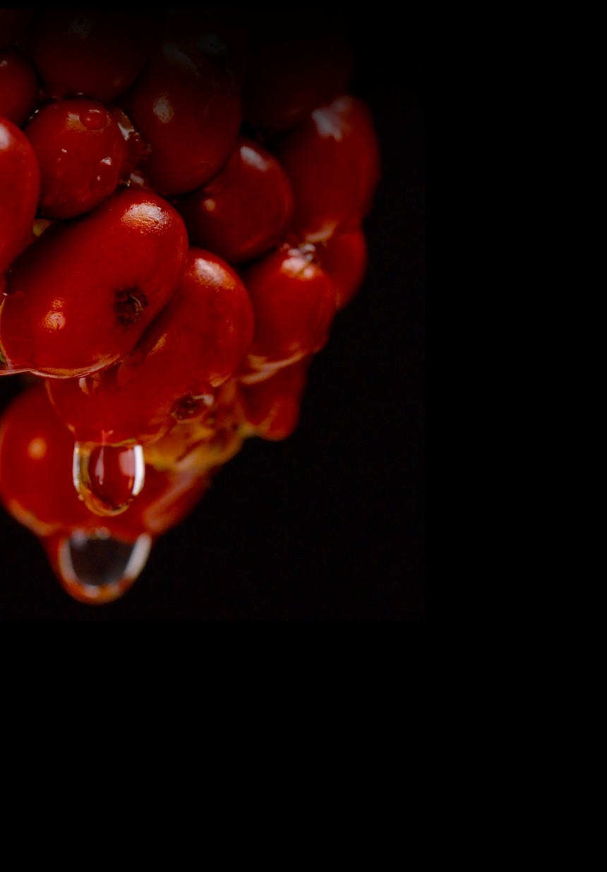 Sulwhasoo,International,<p></p>