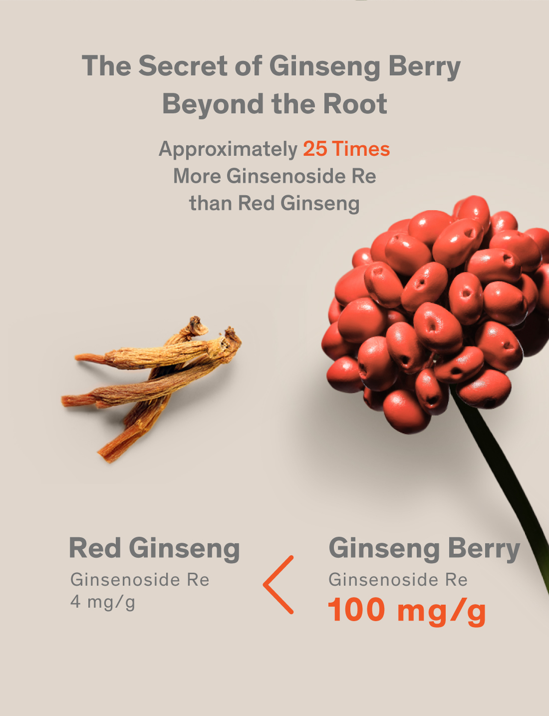 Red Ginseng Extract Ampoule Drink 20g x 30