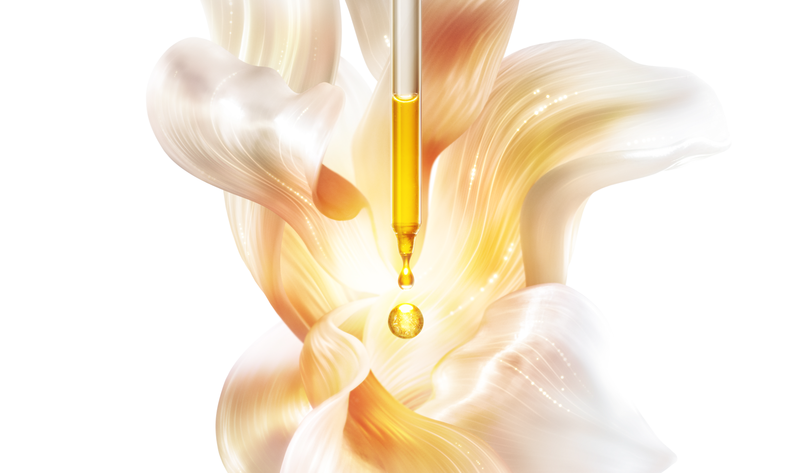 AP BEAUTY,International,Title text, Lorem Ipsum is simply dummy text