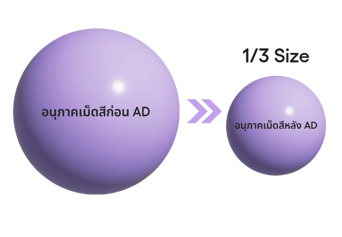 LANEIGE,Thailand,<p></p>