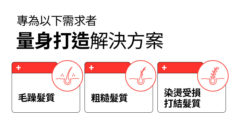RYO,Taiwan,<p></p>,專為以下需求者, 量身打造解決方案,  毛躁髮質, 粗糙髮質, 染燙受損打結髮質