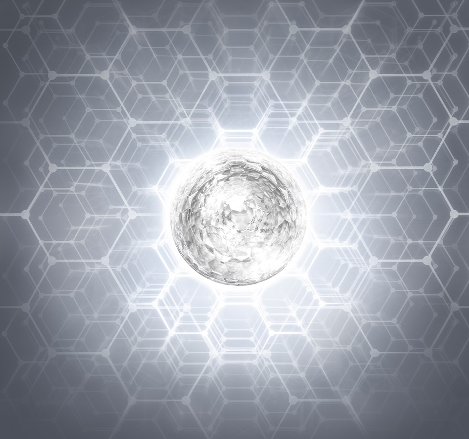 AP BEAUTY,International,Title text, Lorem Ipsum is simply dummy text