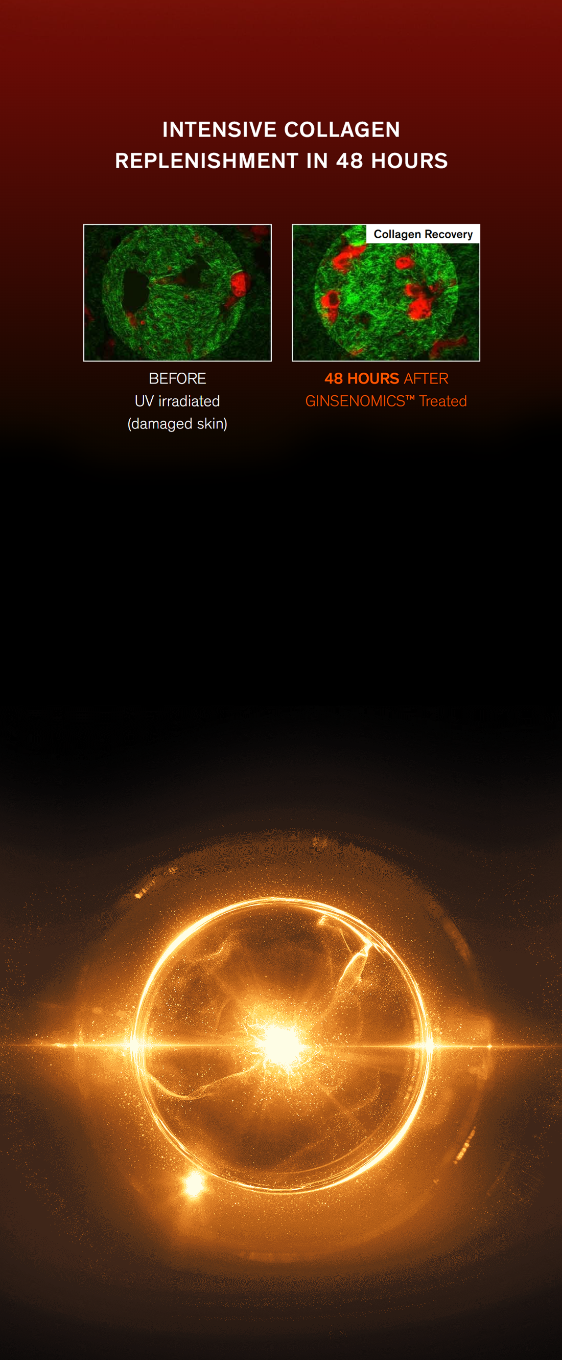 Sulwhasoo,Hong Kong,<p></p>