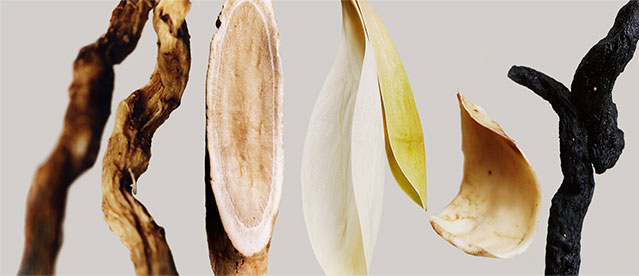 Sulwhasoo,International,JAUM ACTIVATOR™
